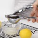 Stainless Steel Juicer